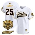 Men's Tennessee Volunteers #25 Blake Burke White Gold 2024 Champions Vapor