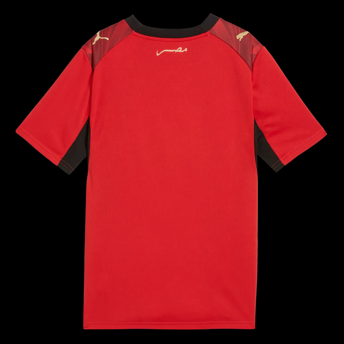 Puma 2026 Egypt Youth Stadium Home Soccer Jersey