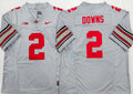 Ohio State Buckeyes GRAY #2 DOWNS Jersey