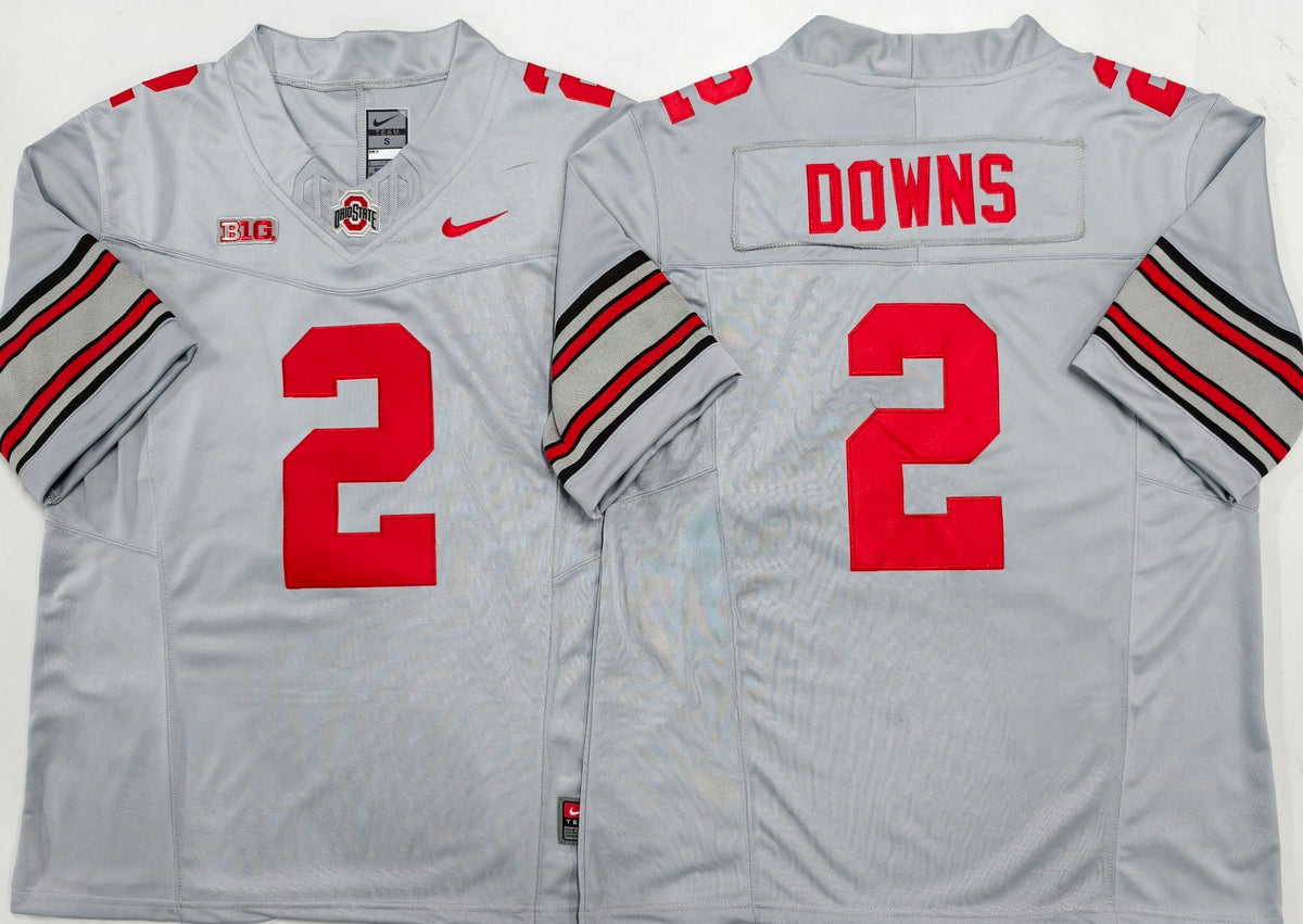 Ohio State Buckeyes GRAY #2 DOWNS Jersey